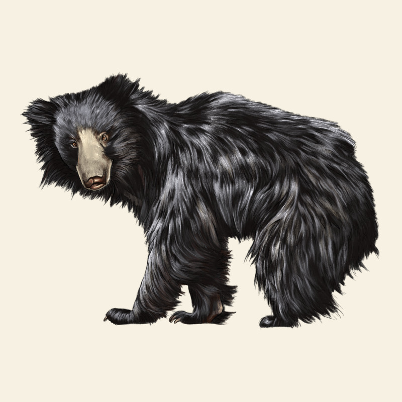 Sloth Bear Vintage Tee by LillyAllenDesigns | Teevron
