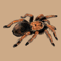 Mexican Red Knee Tarantula Vintage Hoodie | Teevron
