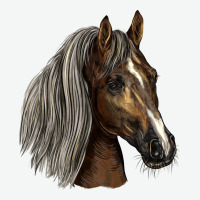 Tennessee Horse Urban Heavy Tee | Teevron