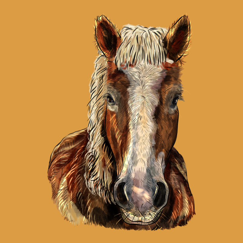 Belgian Horse Urban Heavy Tee by LillyAllenDesigns | Teevron