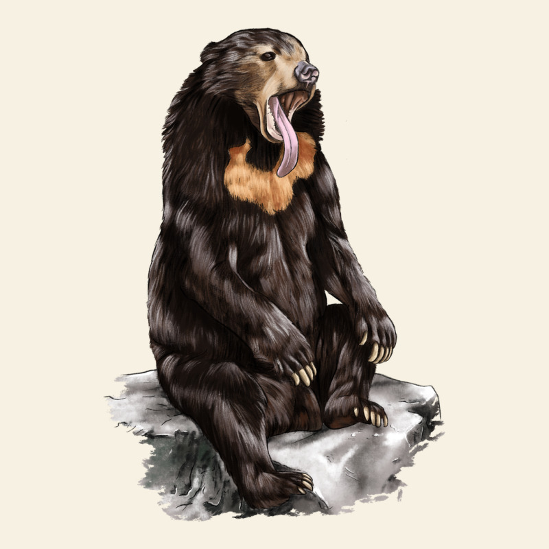 Malayan Sun Bear Vintage Tee by LillyAllenDesigns | Teevron