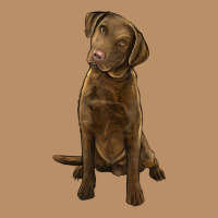 Chesapeake Bay Retriever Vintage Hoodie | Teevron