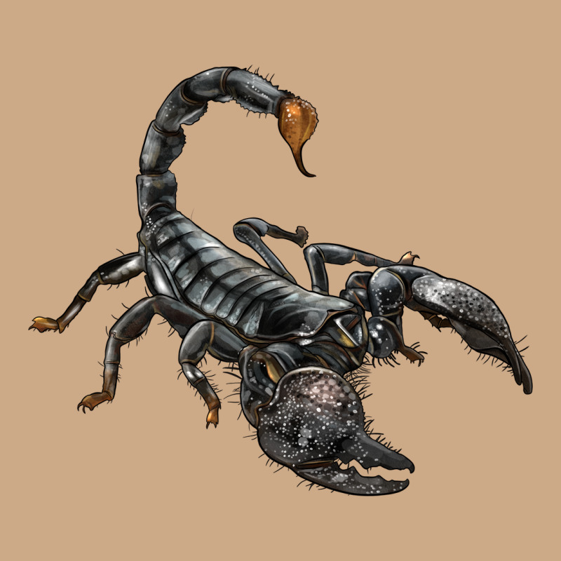 Scorpion Vintage Hoodie by LillyAllenDesigns | Teevron