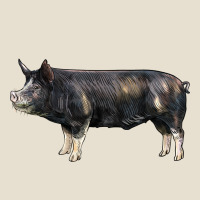 Berkshire Pig Urban Heavy Tee | Teevron
