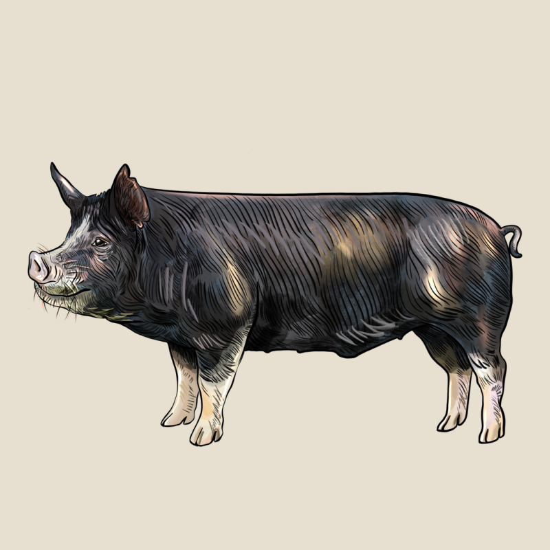 Berkshire Pig Urban Heavy Tee by LillyAllenDesigns | Teevron