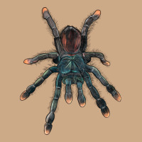 Pink Toe Tarantula Vintage Hoodie | Teevron