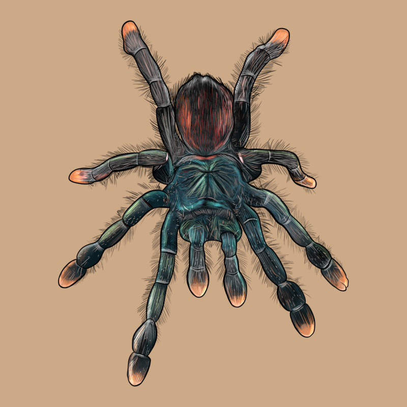 Pink Toe Tarantula Vintage Hoodie by LillyAllenDesigns | Teevron