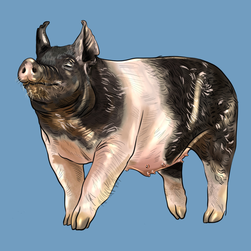 Hampshire Pig Urban Heavy Tee by LillyAllenDesigns | Teevron