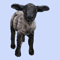 Suffolk Baby Sheep Urban Heavy Tee | Teevron