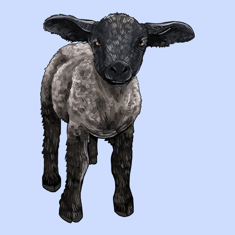 Suffolk Baby Sheep Urban Heavy Tee by LillyAllenDesigns | Teevron