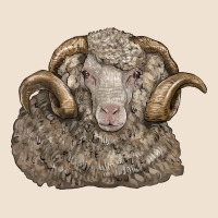 Merino Wool Sheep Head Urban Heavy Tee | Teevron