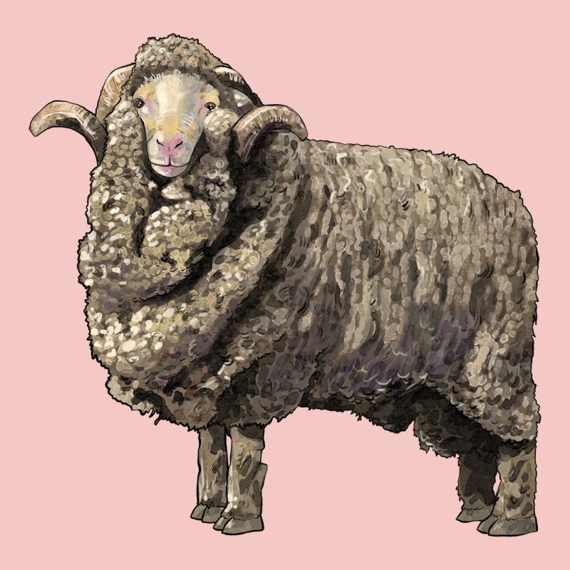 Merino Wool Sheep Urban Heavy Tee by LillyAllenDesigns | Teevron