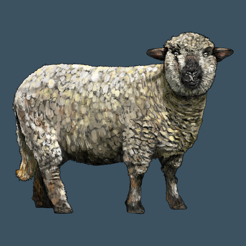 Hampshire Sheep Urban Heavy Tee by LillyAllenDesigns | Teevron