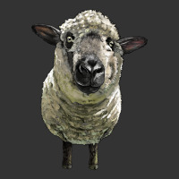 hampshire sheep head | Teevron
