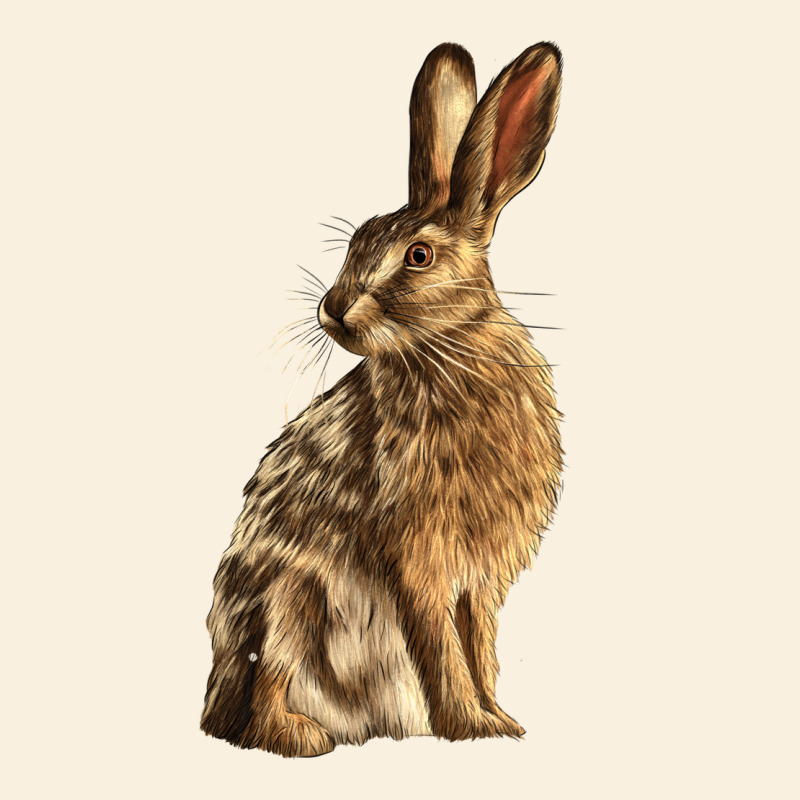 Hares Vintage Hoodie by LillyAllenDesigns | Teevron