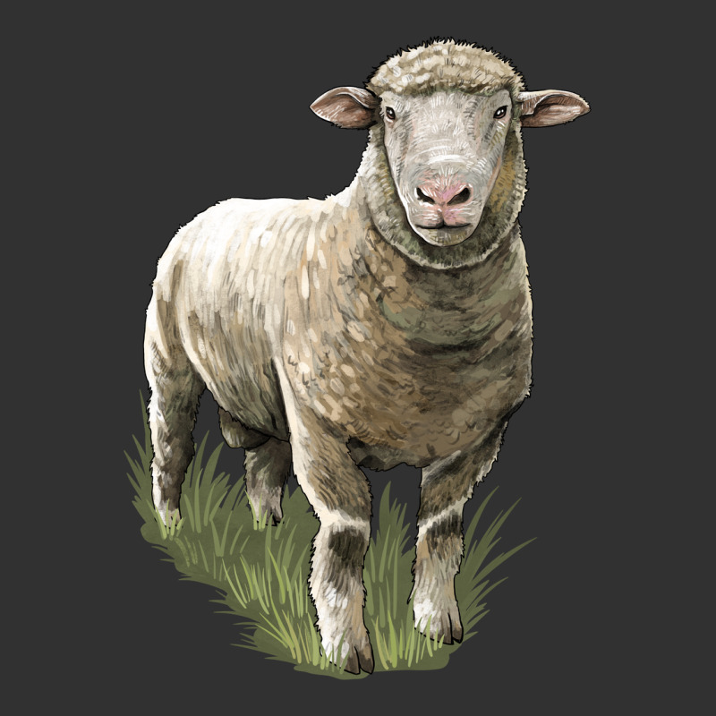 Dorset Sheep Urban Heavy Tee by LillyAllenDesigns | Teevron