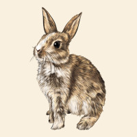 Rabbit Vintage Hoodie | Teevron