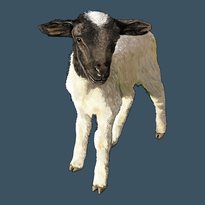 Dorper Baby Sheep Urban Heavy Tee by LillyAllenDesigns | Teevron