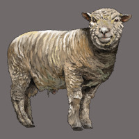 Southdown Sheep Urban Heavy Tee | Teevron
