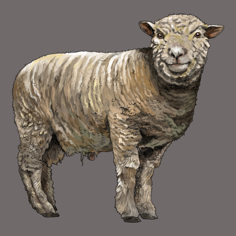 Southdown Sheep Urban Heavy Tee by LillyAllenDesigns | Teevron
