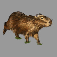 Capybara Vintage Hoodie | Teevron