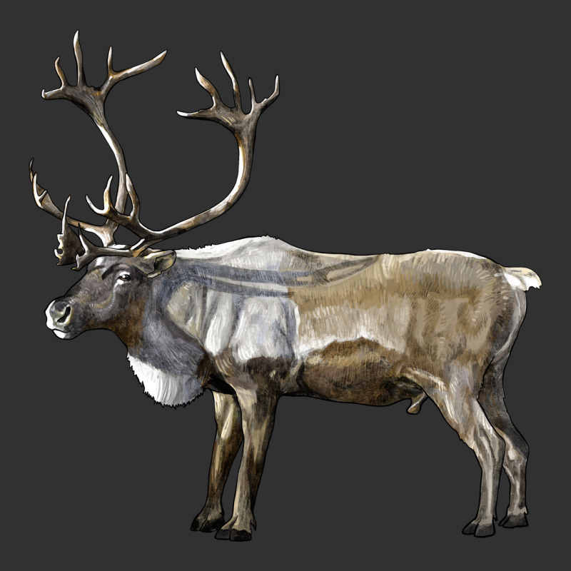Reindeer Buck Deer Urban Heavy Tee by LillyAllenDesigns | Teevron