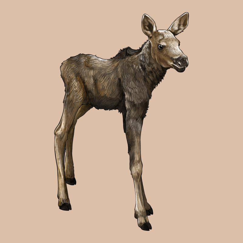 Moose Fawn Deer Urban Heavy Tee by LillyAllenDesigns | Teevron
