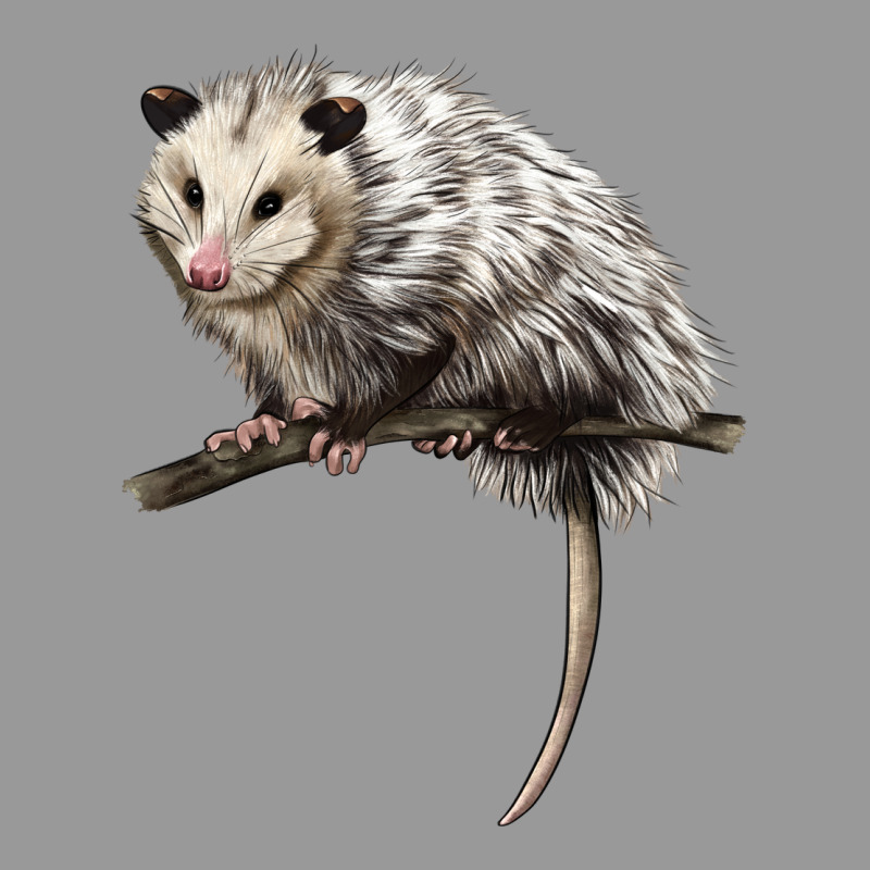 Opossum Vintage Hoodie by LillyAllenDesigns | Teevron
