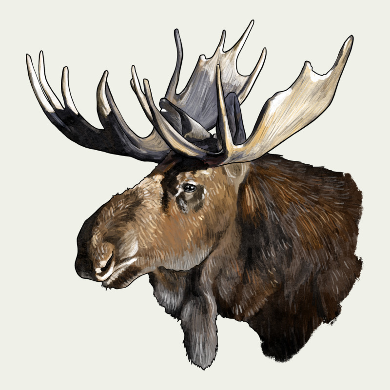 Moose Buck Deer Head Urban Heavy Tee by LillyAllenDesigns | Teevron