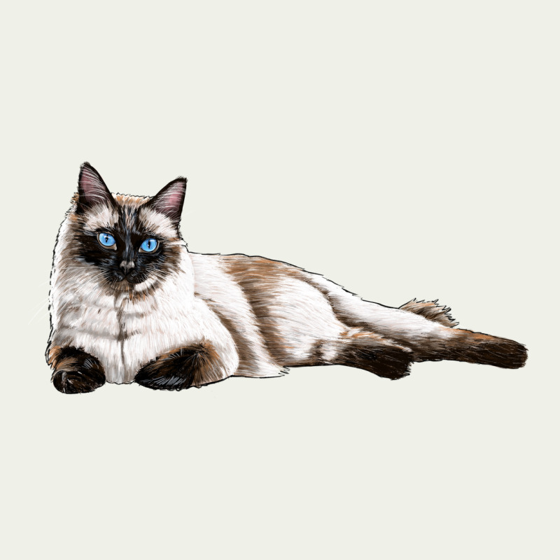 Siamese Urban Heavy Tee by LillyAllenDesigns | Teevron