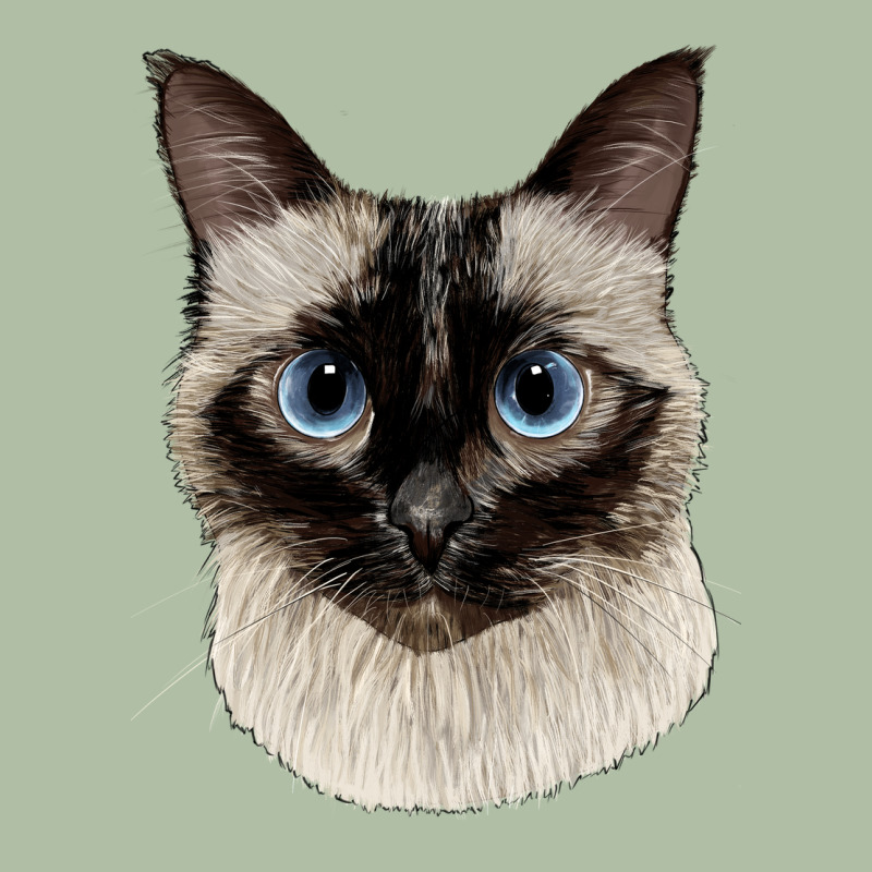 Siamese Face Urban Heavy Tee by LillyAllenDesigns | Teevron
