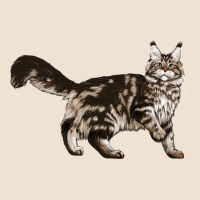 Maine Coon Cat Urban Heavy Tee | Teevron