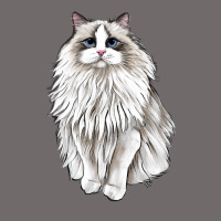 Ragdoll Cat Urban Heavy Tee | Teevron
