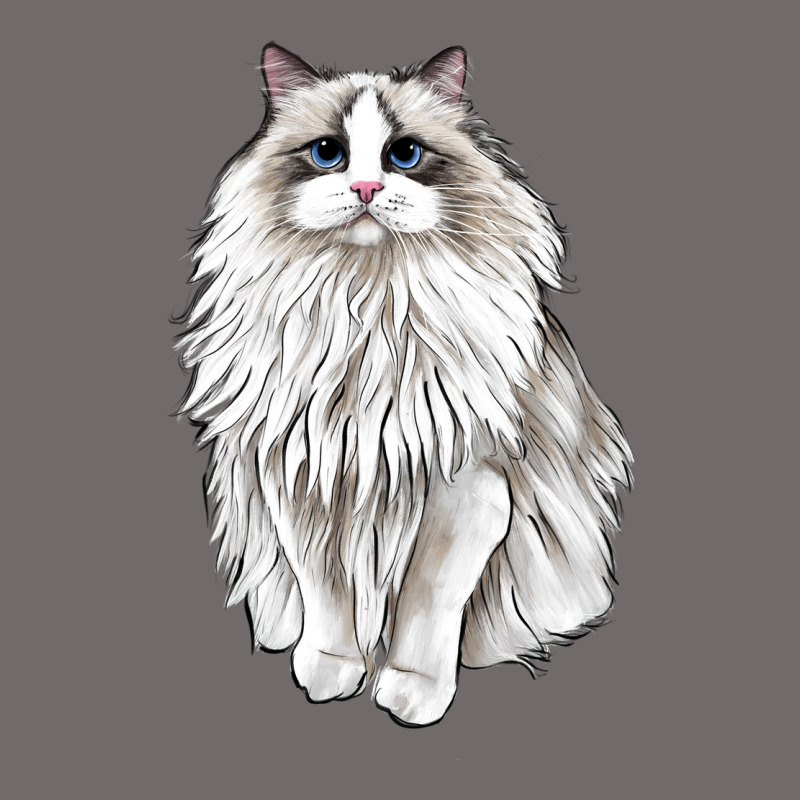 Ragdoll Cat Urban Heavy Tee by LillyAllenDesigns | Teevron