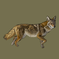 Coyote Vintage Hoodie | Teevron