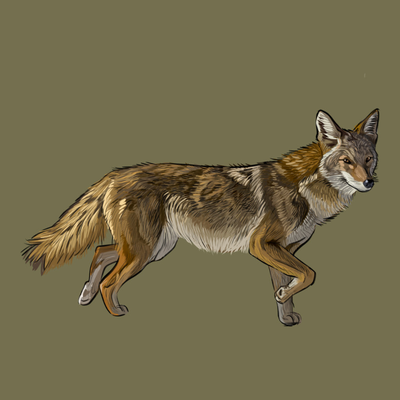 Coyote Vintage Hoodie by LillyAllenDesigns | Teevron