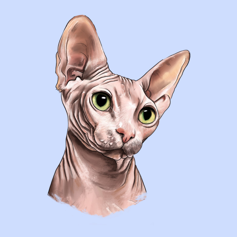 Sphynx Cat Urban Heavy Tee by LillyAllenDesigns | Teevron