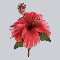 Puerto Rican Hibiscus Flower Illustrations Classic Tee | Teevron