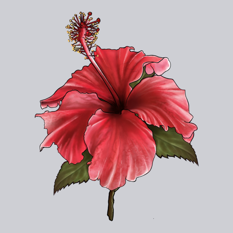 Puerto Rican Hibiscus Flower Illustrations Classic Tee by LillyAllenDesigns | Teevron