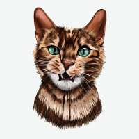 Bengal Cat Face Urban Heavy Tee | Teevron