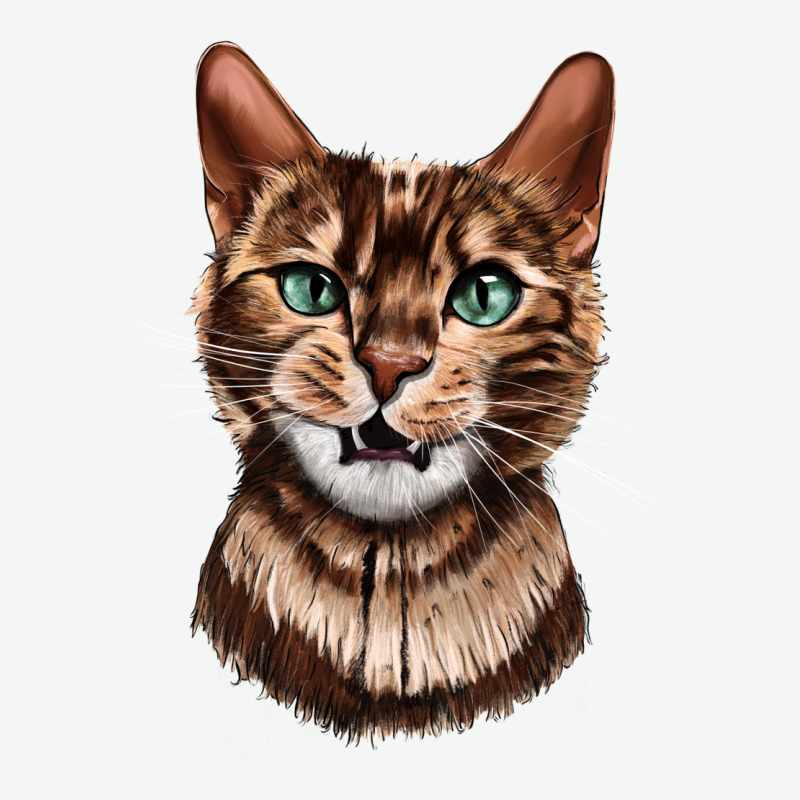 Bengal Cat Face Urban Heavy Tee by LillyAllenDesigns | Teevron