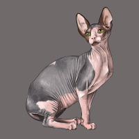 Sphynx Cat Urban Heavy Tee | Teevron