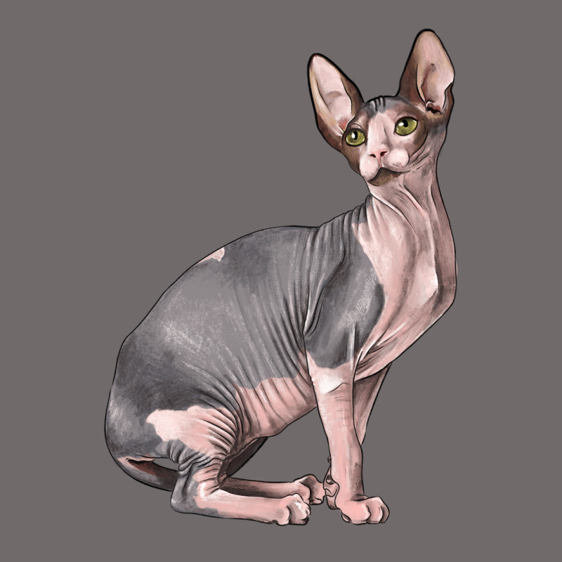 Sphynx Cat Urban Heavy Tee by LillyAllenDesigns | Teevron