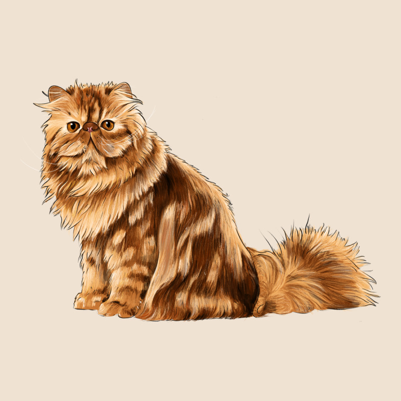 Persian Cat Urban Heavy Tee by LillyAllenDesigns | Teevron