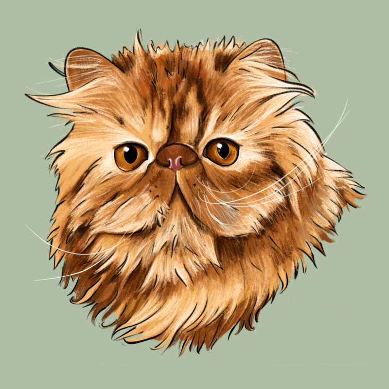 Persian Cat Face Urban Heavy Tee by LillyAllenDesigns | Teevron