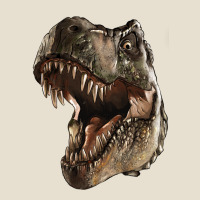 Tyrannosaurus T Rex Face Urban Heavy Tee | Teevron