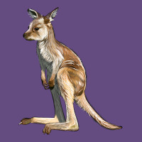 Baby Kangaroo Vintage Hoodie | Teevron