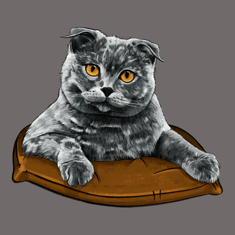 Scottish Fold Urban Heavy Tee by LillyAllenDesigns | Teevron