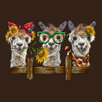 3 Alpacas Heavy Core Tee | Teevron