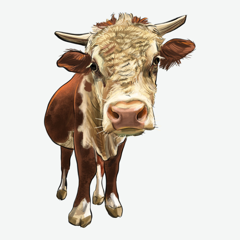 Hereford Heifer Urban Heavy Tee by LillyAllenDesigns | Teevron